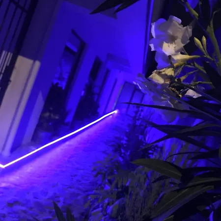Апарт-отель City Garden Black Sea