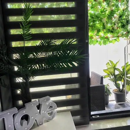 City Garden Black Sea 3* Констанца