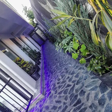 Aparthotel City Garden Black Sea 3*